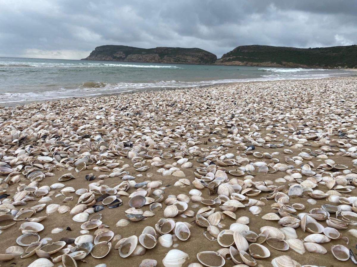11 Arrowood Lägenhet Plettenberg Bay Exteriör bild